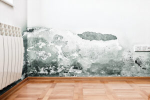 water damage house